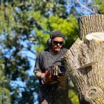 Dependable Tree Removal Service Mobile for Property Owners